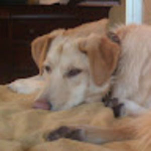 Meet your Posher, Marilyn